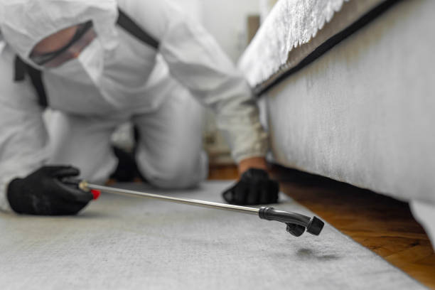 Professional Bed Bug Control technician working in Stoughton, WI