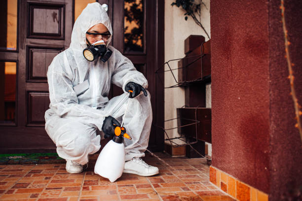 Reliable Bed Bug Control contractor in Stoughton, WI by Nex Pest Control